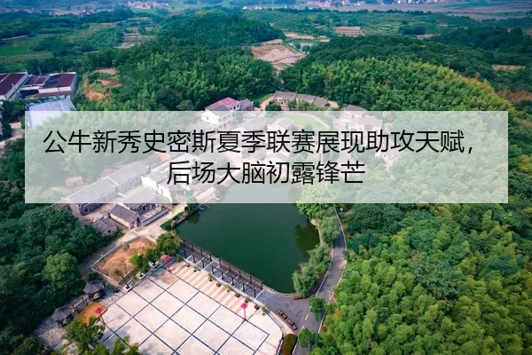 公牛新秀史密斯夏季联赛展现助攻天赋，后场大脑初露锋芒